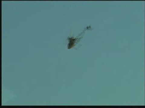 Honey Bee FP direct drive chassis Superkids