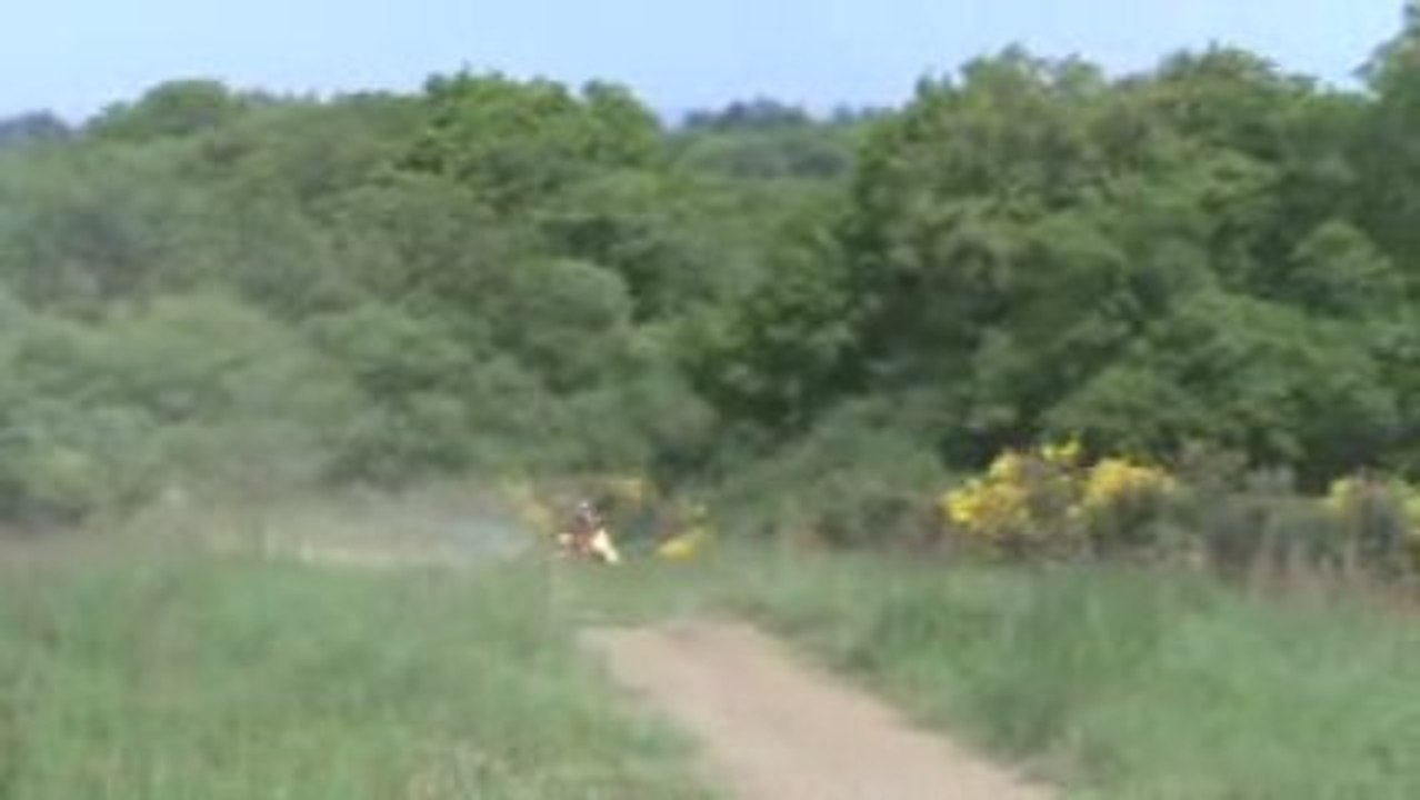 20090524144546