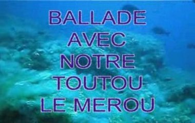 GABINIERE 27 MAI 2009_PC