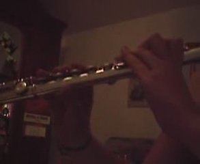 Flute-Sonatina