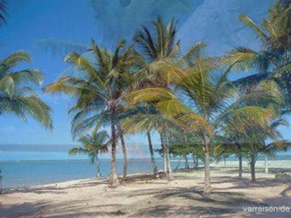 OTB - On The Beach (Premium)