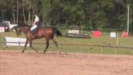 Concours Bray en Val 24052009 détente