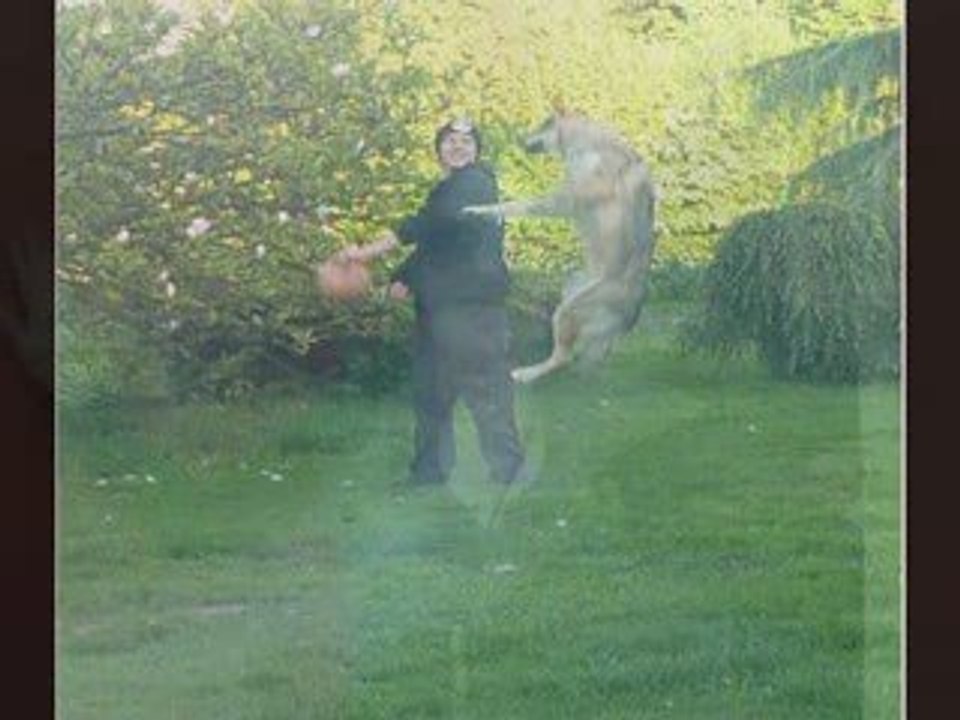 coeur amour jtm femme