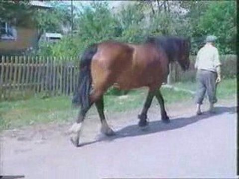 RTL impuls première partie