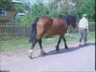 RTL impuls première partie