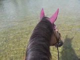 27.05.09 ballade à cheval avec rafraichissement rivière