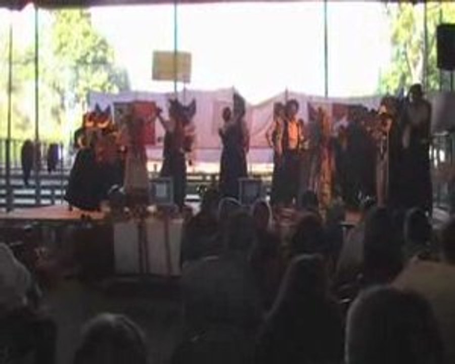 Grupo Foclore da curredora em Paris-5