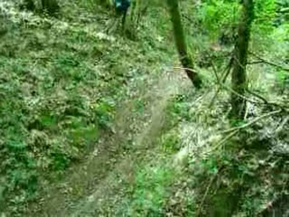 IMGP0402