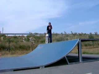 gap en shov-it de maxime