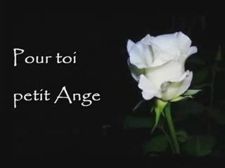 Les fleurs de l'éternité