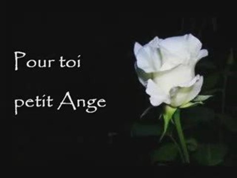 Les fleurs de l'éternité