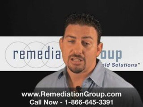 [REMEDIATION GROUP] South Florida Mold Removal South Florida