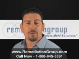 Fort Lauderdale mold remediation, [REMEDIATION GROUP]