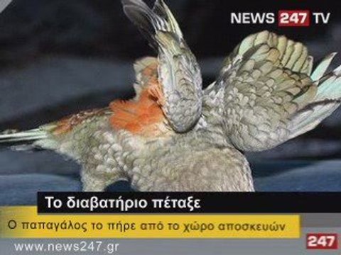 ΔΕΛΤΙΟ ΕΙΔΗΣΕΩΝ NEWS 24|7 29/05/09