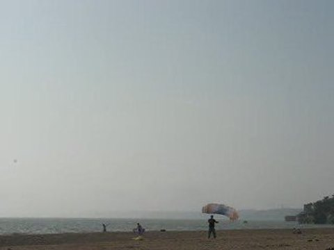 La Bernerie en Retz : cerf-volant