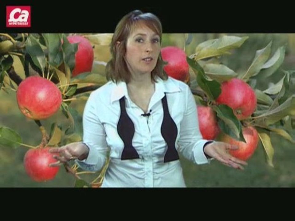Pourquoi la pomme tombe de l'arbre?