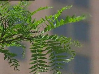 Prince Harry visits New York to pay tribute to 9/11 victims