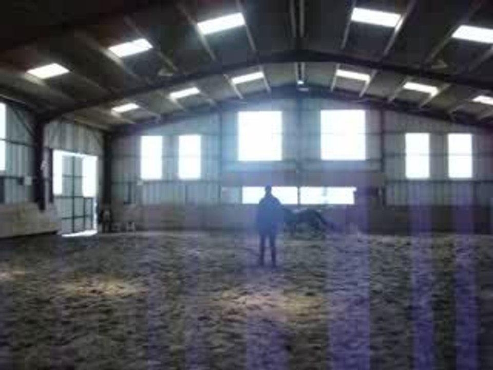 SAMPION saut en liberté  A vendre