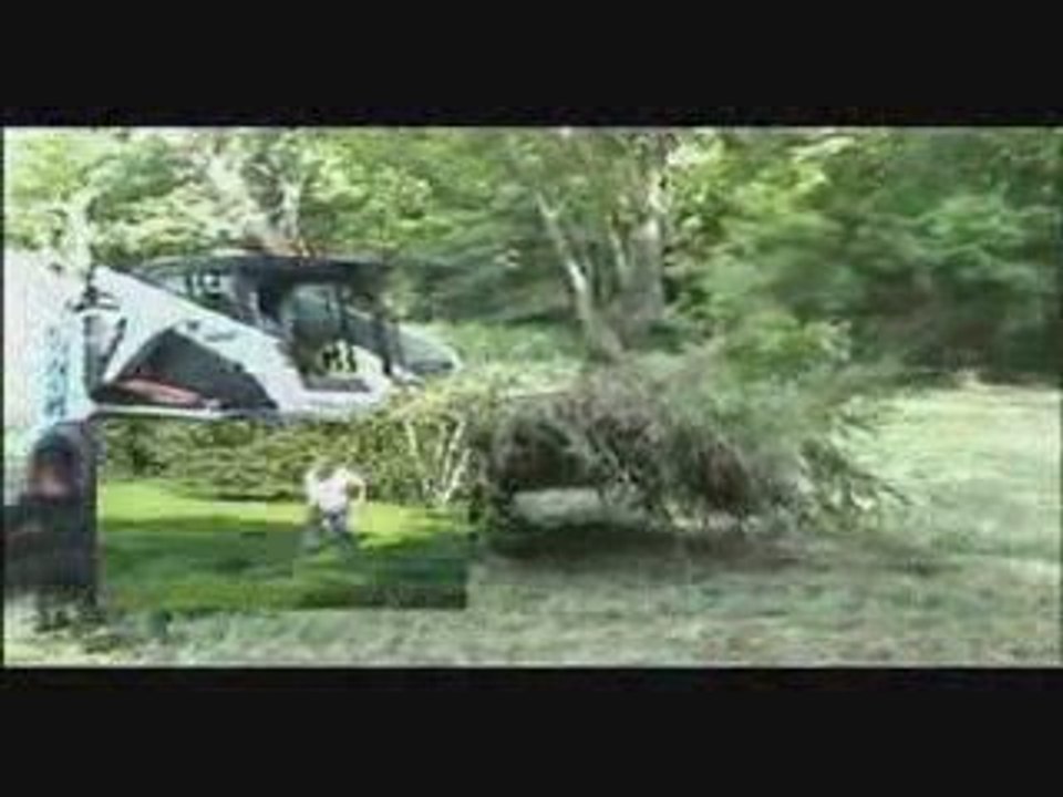 TREE SPADE Bobcat Skid Loader Bucket or Fork attachment