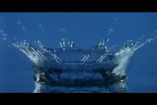 ROCKIN SQUAT La lutte du siècle