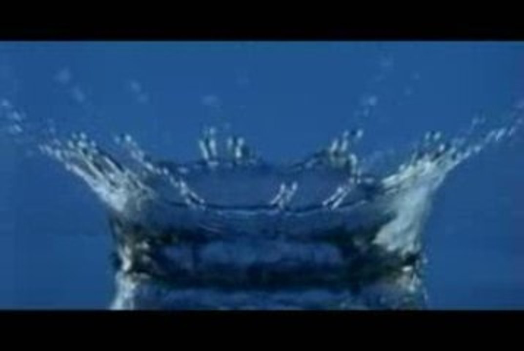 ROCKIN SQUAT  La lutte du siècle