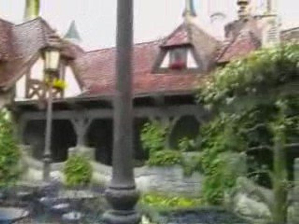 Disney 2008