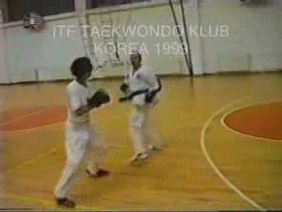 ITF BOSNA,Nedzad Kapic,III dan,1996-2008