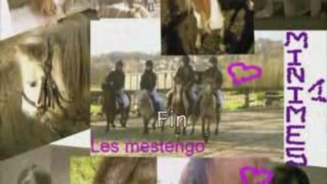 concours de pg octobre 2008 les mestengo