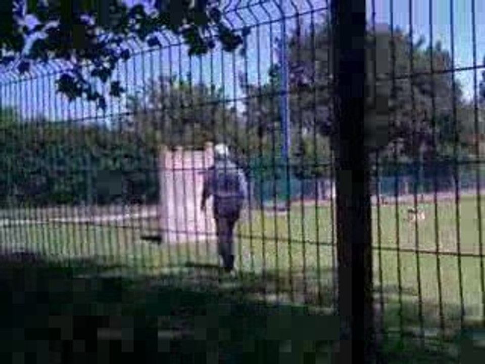 Séance de dressage le 29 05 09