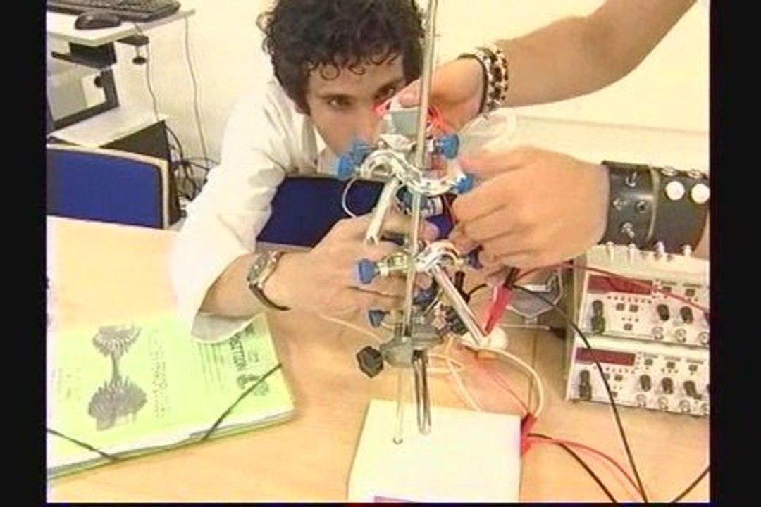 journal TLT jeudi 28 mai 2009