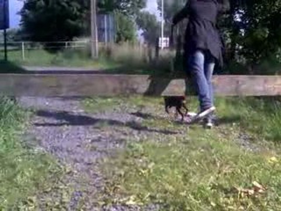 Charlie saute (1)