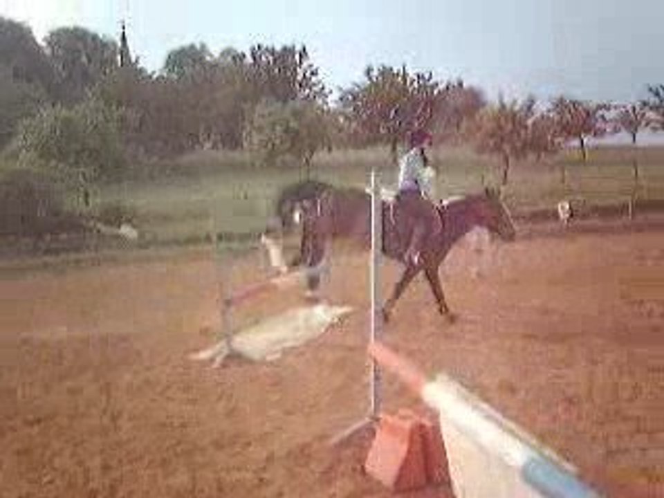 Obi et moi / Samedi 23 Mai 2009