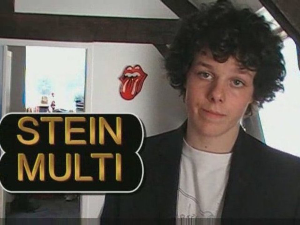 Presentation de stein multi