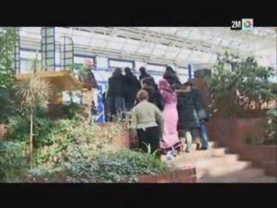 Drame Chahrazad - Part 2/2 (Grand Angle)