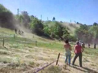 Trefle Lozérien 2009