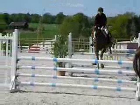 Poneys Sous Les Pommiers 2009