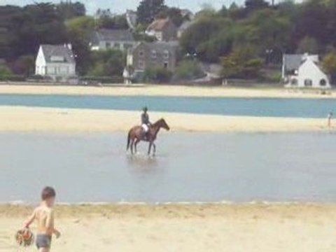 Un cheval sur la plage au CSO de guidel le 21/05/09