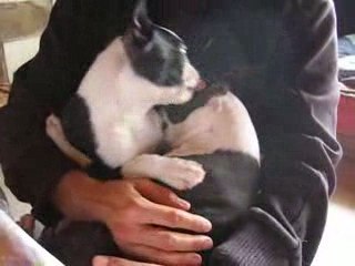 De retour aux hauts coureurs