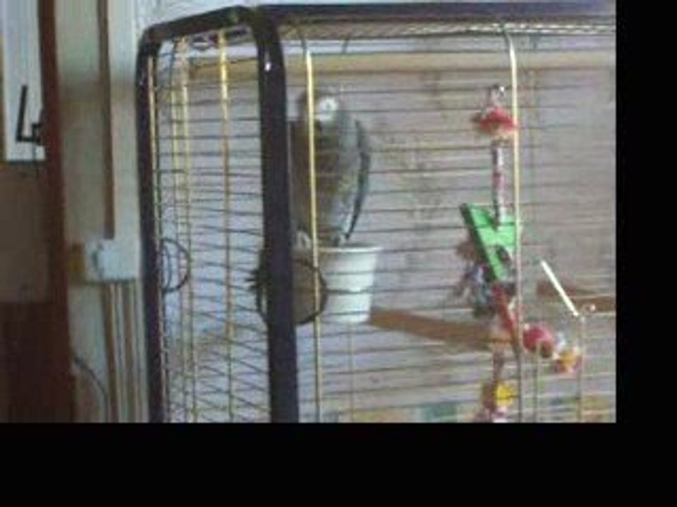 la danse de Coco, attention, le caméraman danse aussi ...