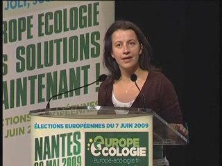 Cécile Duflot au meeting Europe écologie de Nantes