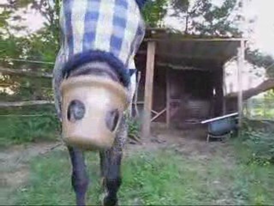 ObifourbuJ2