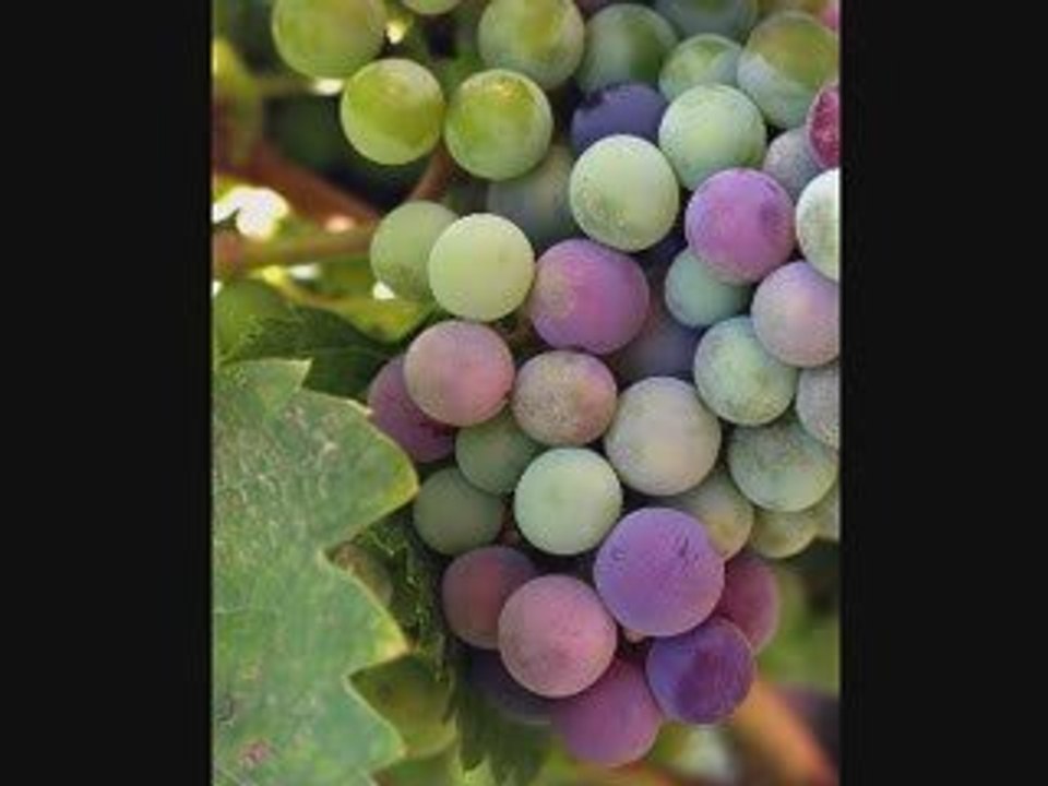 Izenzaren chamekh cherabe