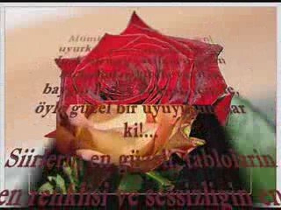 güller şiir karadenizli www.sosyetekaradeniz.com