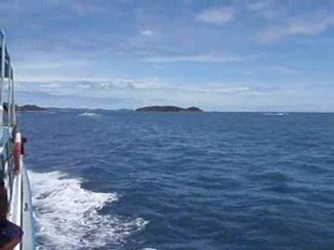 FERRY PATTAYA - KOH LARN