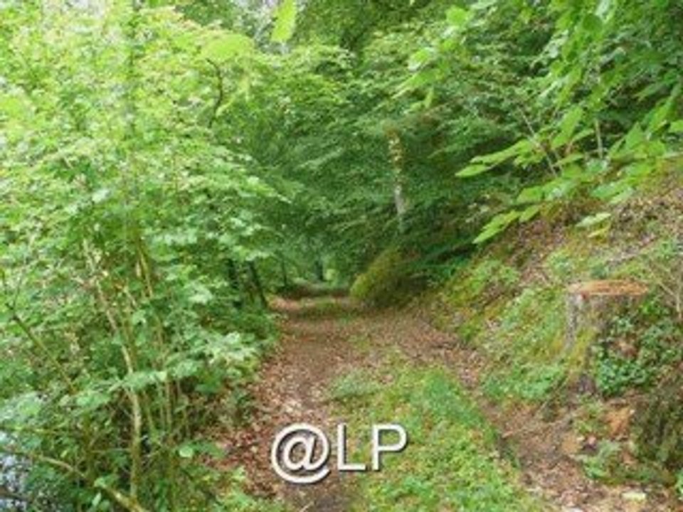 CONFORGIEN MORVAN