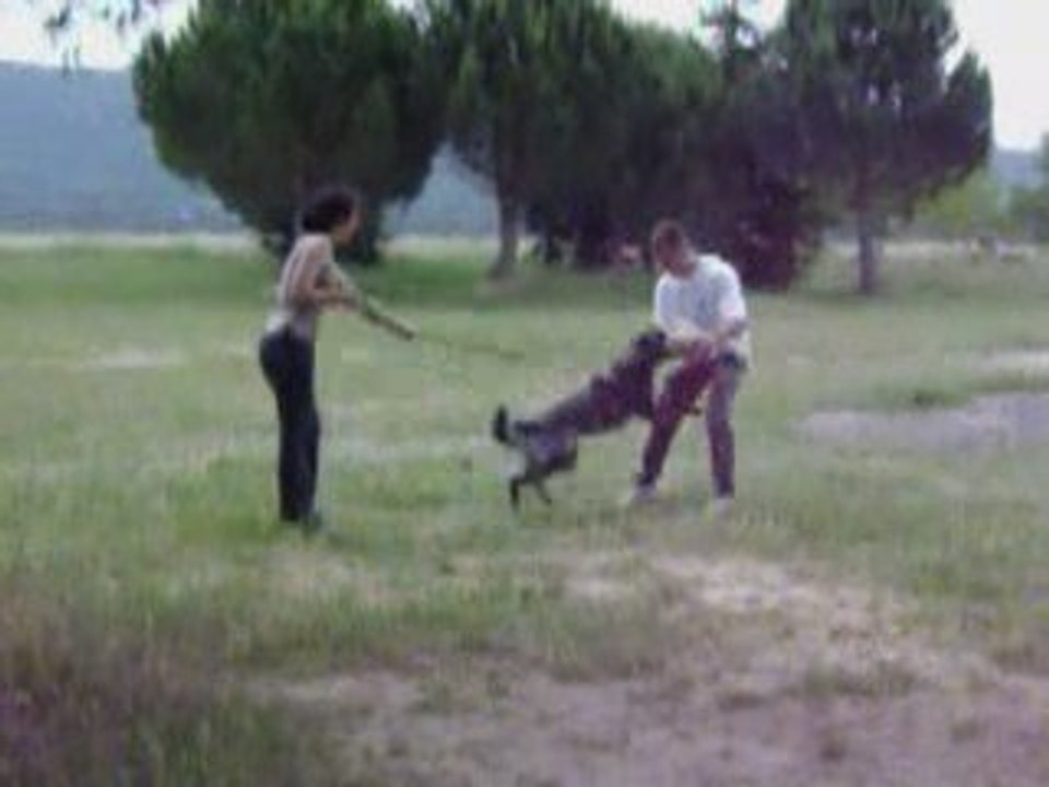 Daika 7 eme court mordant