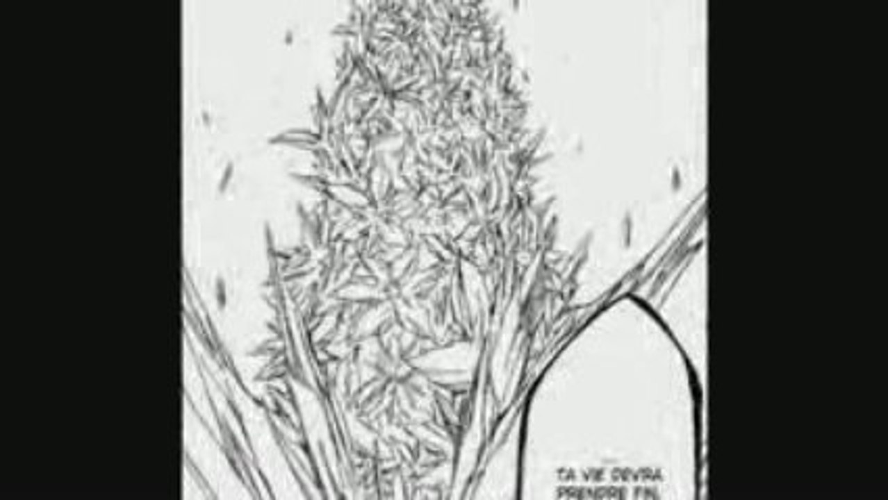 Bleach chapitre 359 en Français