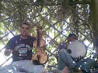 Baha tanot alnif amid