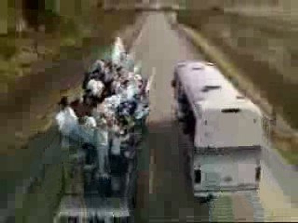 Pub pumas - yo te dare una cosa que empieza por P...Puma!