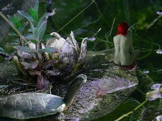 Photomontage photoshop fée